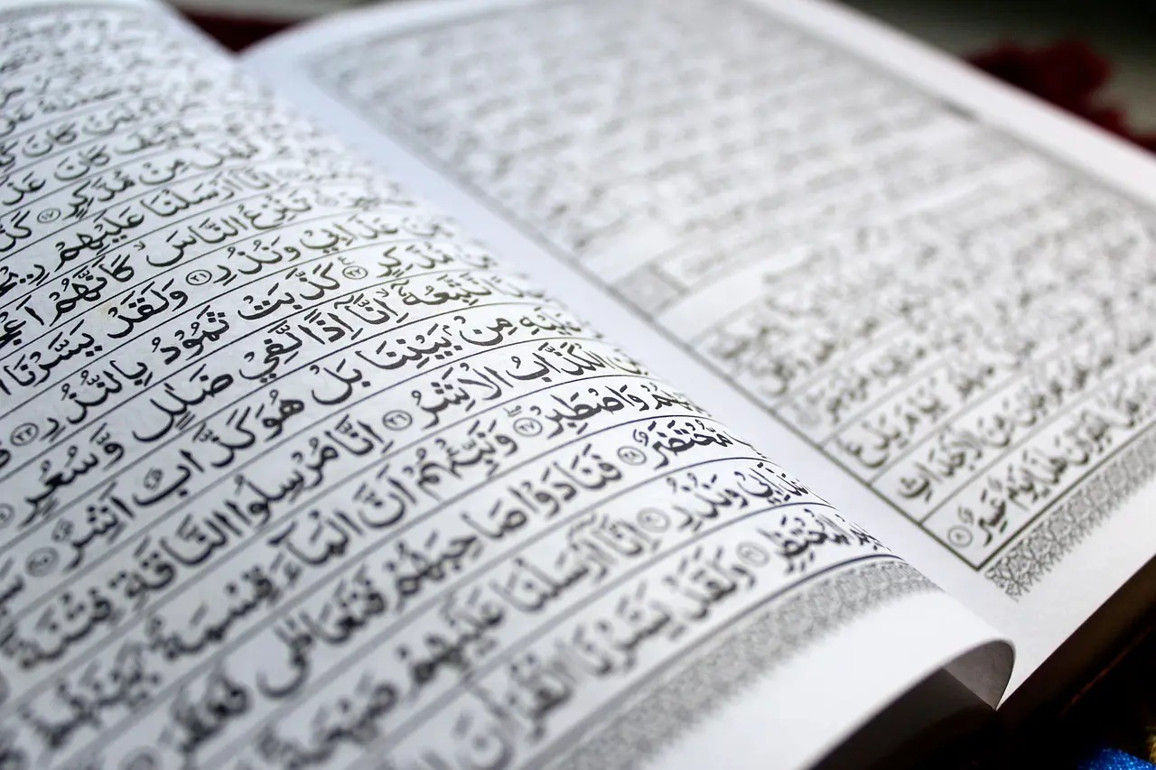 قراءة القران